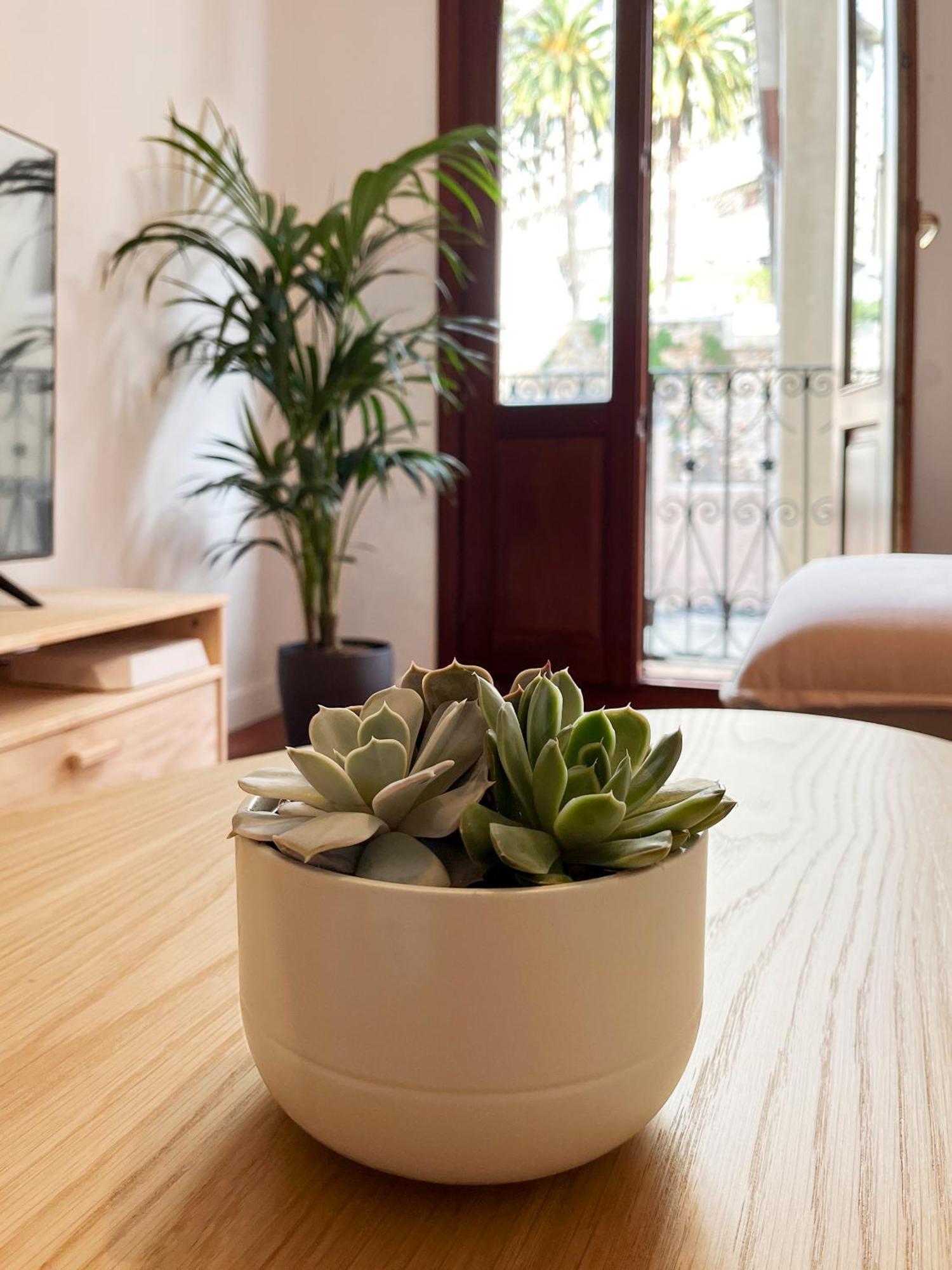 Apartamento Casco Viejo *